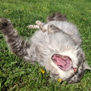 Meet your Posher, Meagan